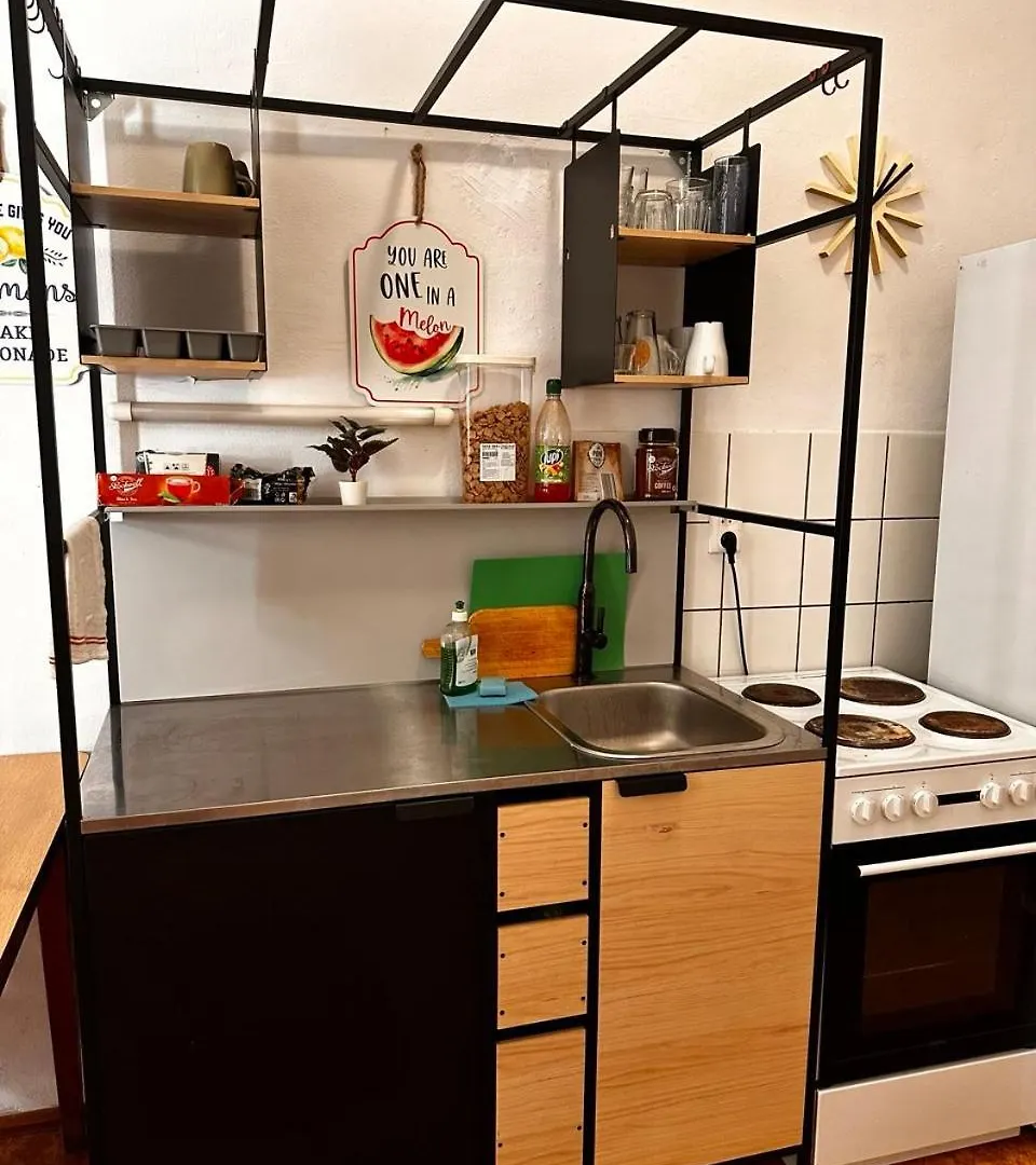Big Apartmans In The Center Brno