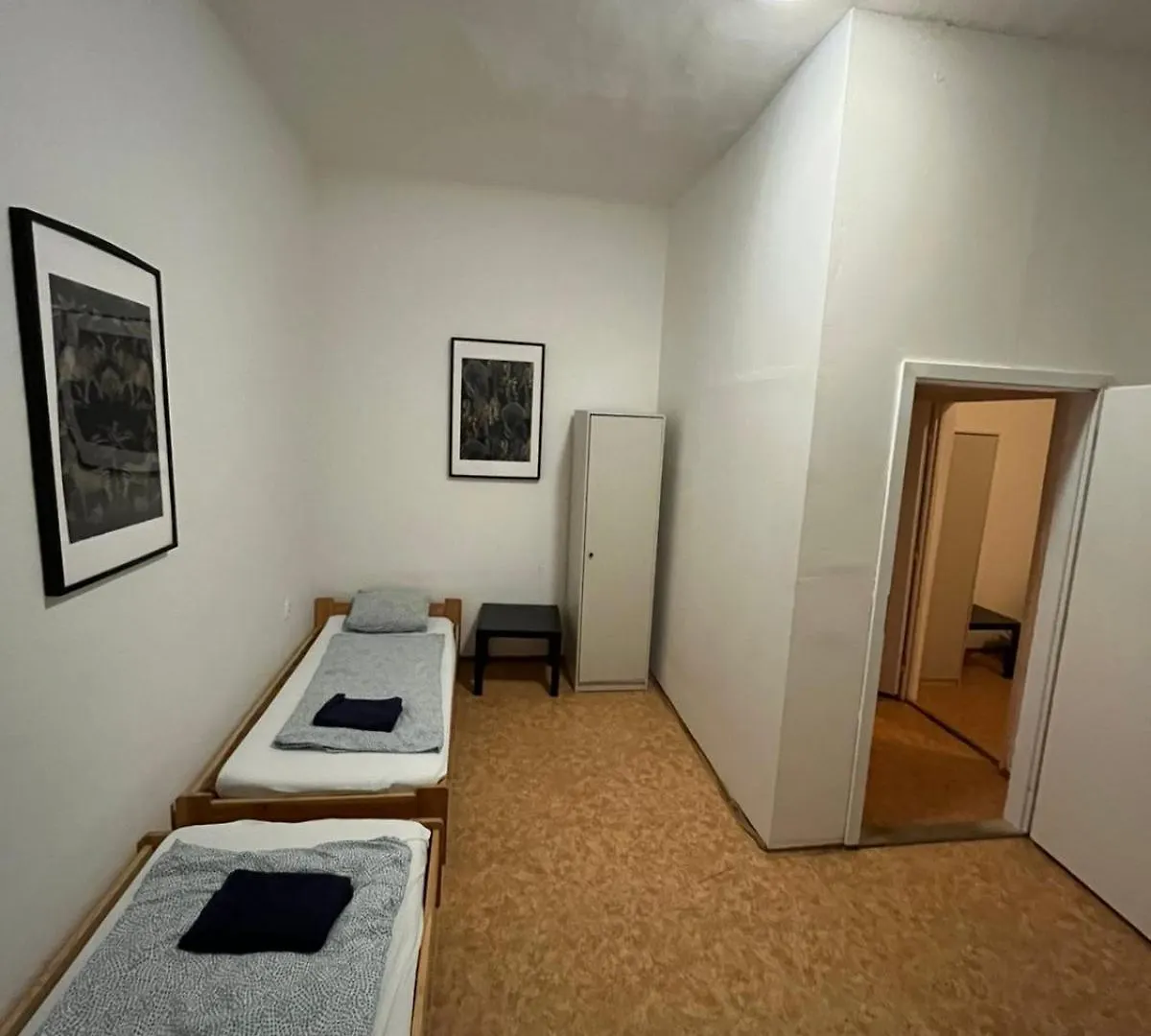 Big Apartmans In The Center Brno